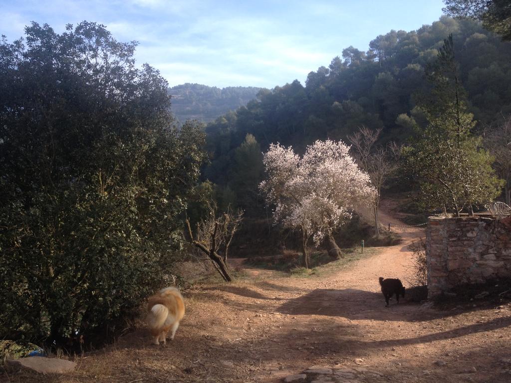 Masia Casajoana Rural Rellinars Exterior photo