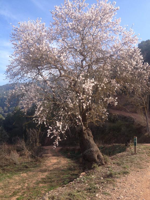 Masia Casajoana Rural Rellinars Exterior photo